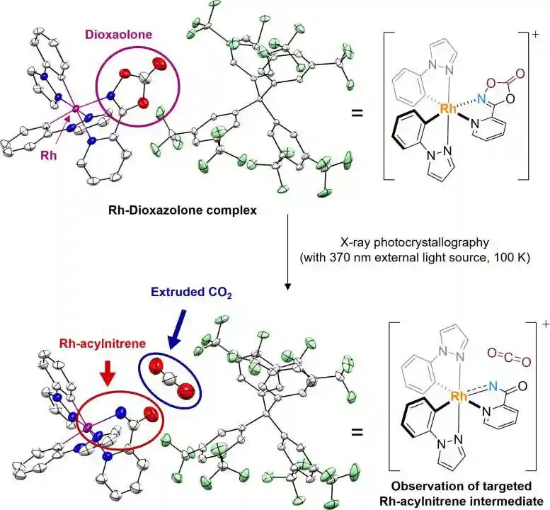 Access-to-Rhodium-Acylnitrenoid-Intermediate-via-X-Ray-Photocrystallographic-Analysis-777x720.webp