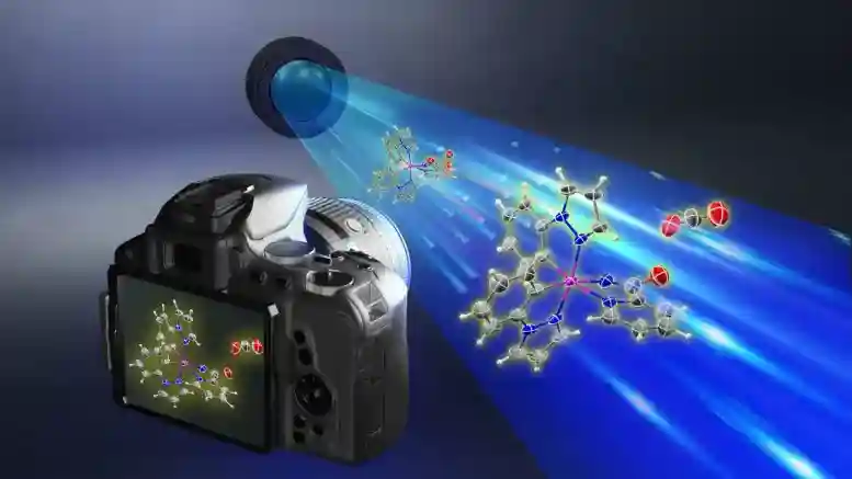 Capturing-the-Key-Intermediate-of-Amination-Catalysis-777x437.webp