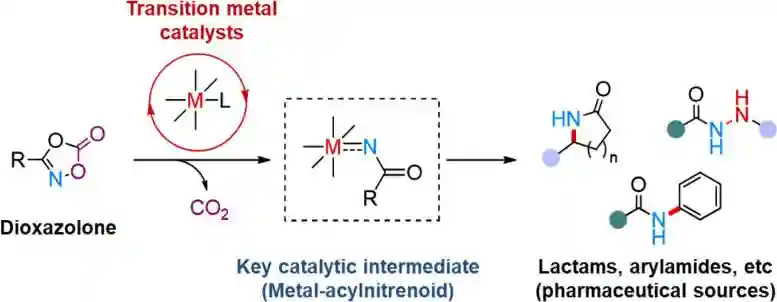 Transition-Metal-Catalyzed-Amidation-Using-Dioxazolone-Reagent-777x302.webp