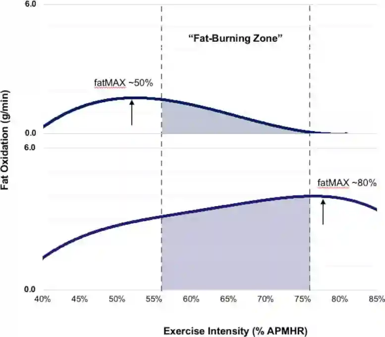 Fat-Burning-During-Exercise-Graph.webp