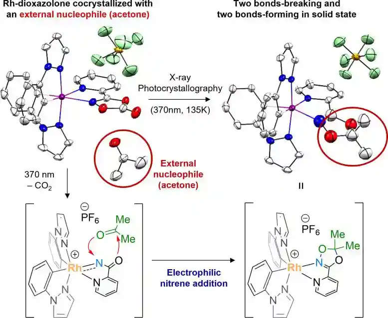 Crystallographic-Monitoring-of-Rhodium-Acylnitrenoid-Transfer-777x638.webp