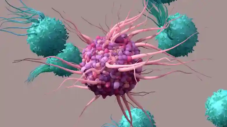 Dendritic-Cells-T-Cells-777x433.webp